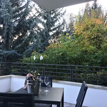 Vista